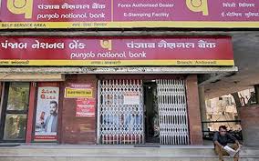 PNB Q4 net grows multi-fold to Rs 1,159 crore